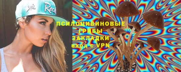 apvp Михайловка