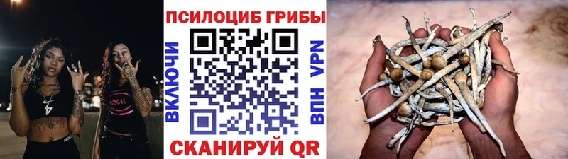 где найти наркотики  Биробиджан  Галлюциногенные грибы мицелий 
