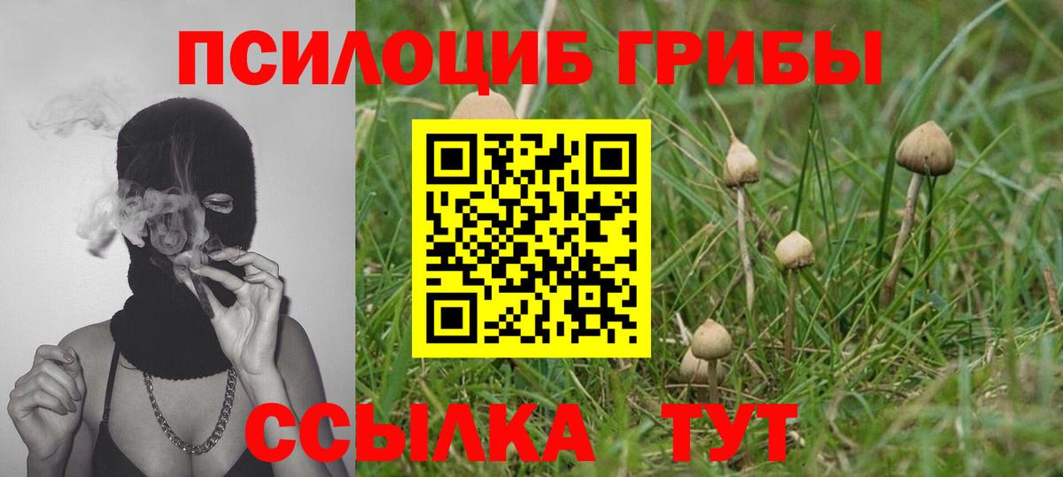 Биробиджан  Псилоцибиновые грибы Psilocybe  Вход с VPN 